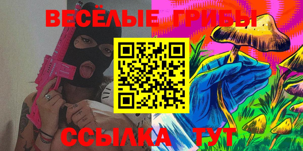 Кизилюрт  Галлюциногенные грибы Magic Shrooms  купить наркоту  Вход с VPN  Псилоцибиновые грибы GOLDEN TEACHER 